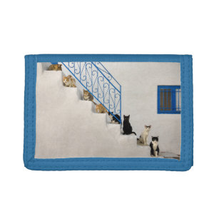 Lot of cats on a white stairway in a Greek village Trifold Wallet