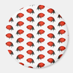 Lot Of Ladybugs Magnet
