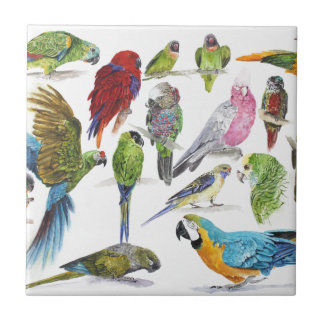 Lots and lots of Parrots on lots and lots of gifts Tile