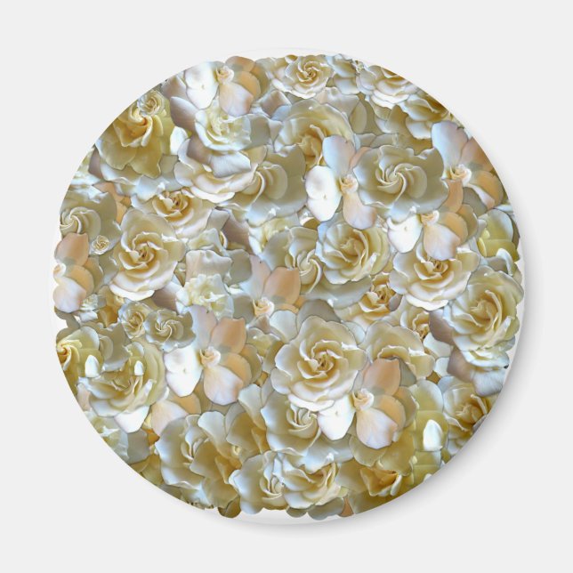 Lots of beautiful rose petals magnet (Front)