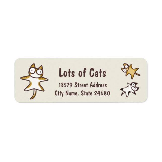 Lots of Cats (Front)
