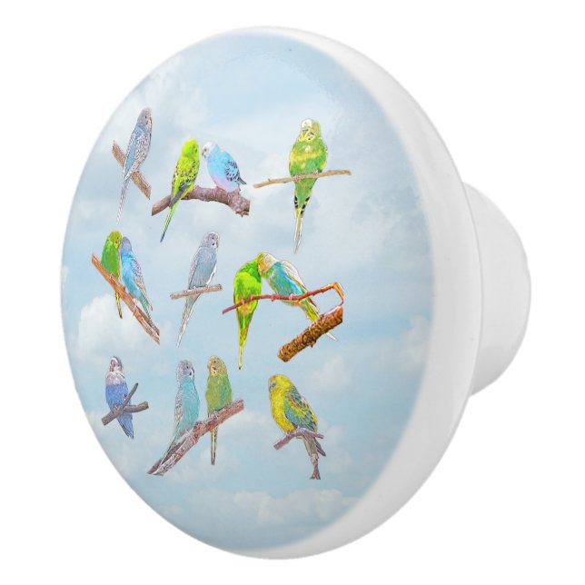 Lots of colourful parakeets - cute little birds    ceramic knob (Right)