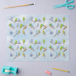 Lots of colourful parakeets - cute little birds tissue paper