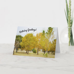 Lots of Colourful Trees Art Birthday Card