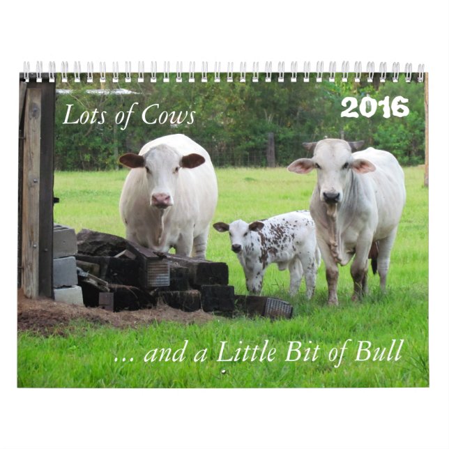 Lots of Cows and a Little Bit of Bull Calendar (Cover)