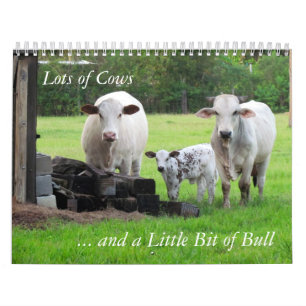 Lots of Cows and a Little Bit of Bull Calendar
