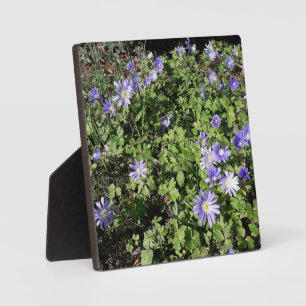 Lots of flowers plaque