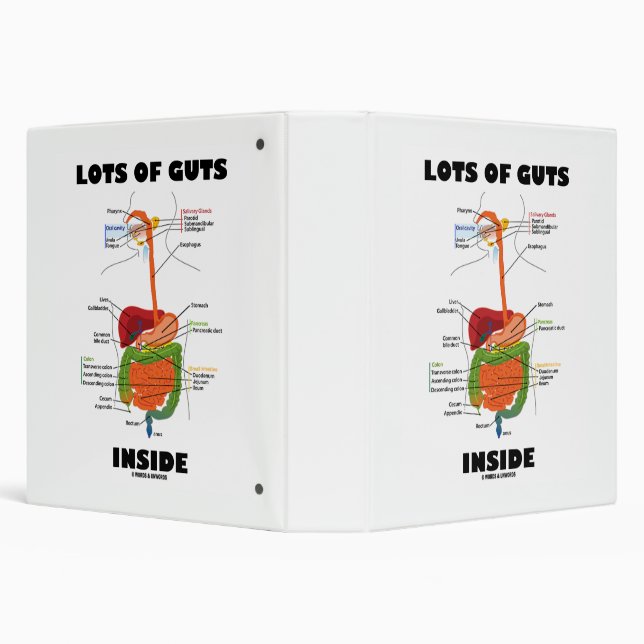 Lots Of Guts Inside Digestive System Humour Binder (Background)