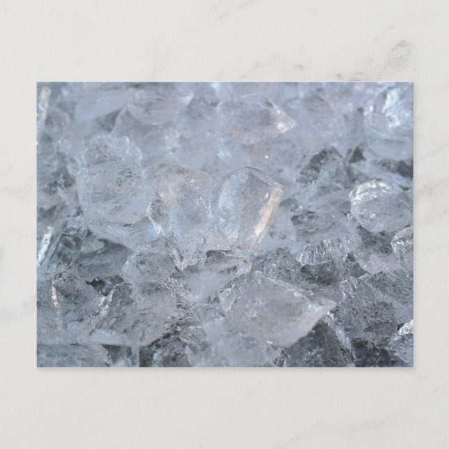 Lots of Ice Cubes Postcard (Front)