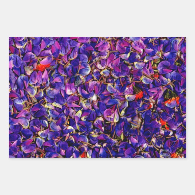 Lots of Lupine Petals  Wrapping Paper Sheet (Front)