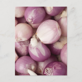 Lots of peeled shallots postcard