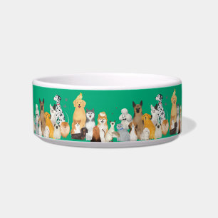 lots of pets bowl