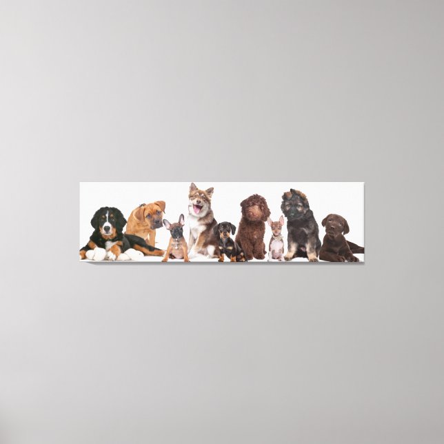 Lots Of Puppies Canvas Print (Front)