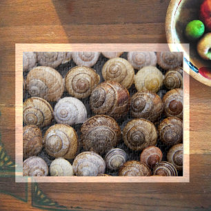 Lots of Snail Shells Jigsaw Puzzle