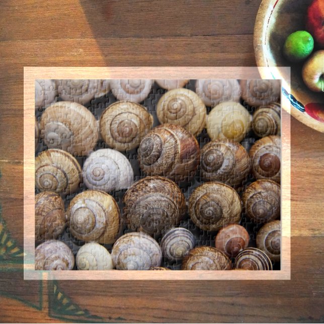 Lots of Snail Shells Jigsaw Puzzle (Creator Uploaded)
