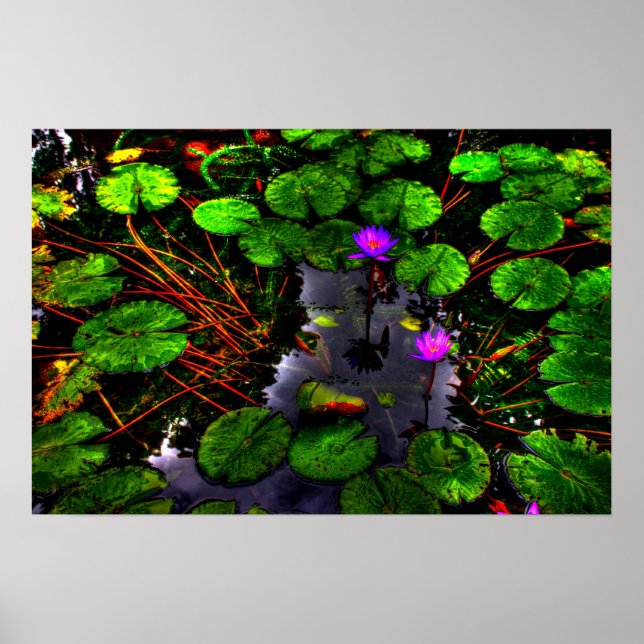 Lotus 1 poster (Front)