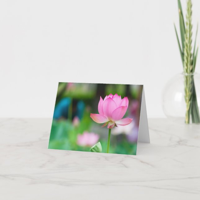 Lotus All Occasion Carte pour notes (Devant)