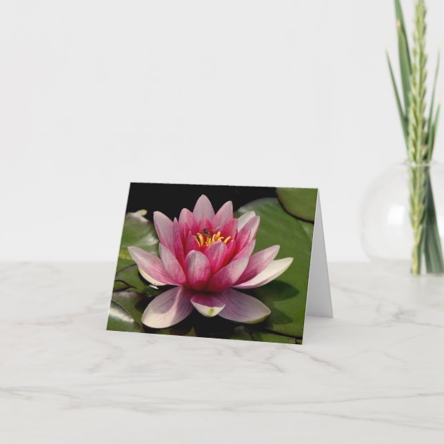 Lotus All Occasion Carte pour notes (Devant)