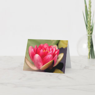 Lotus All Occasion Notecard