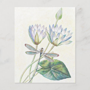 Lotus and dragonfly