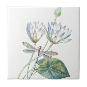 Lotus and dragonfly tile