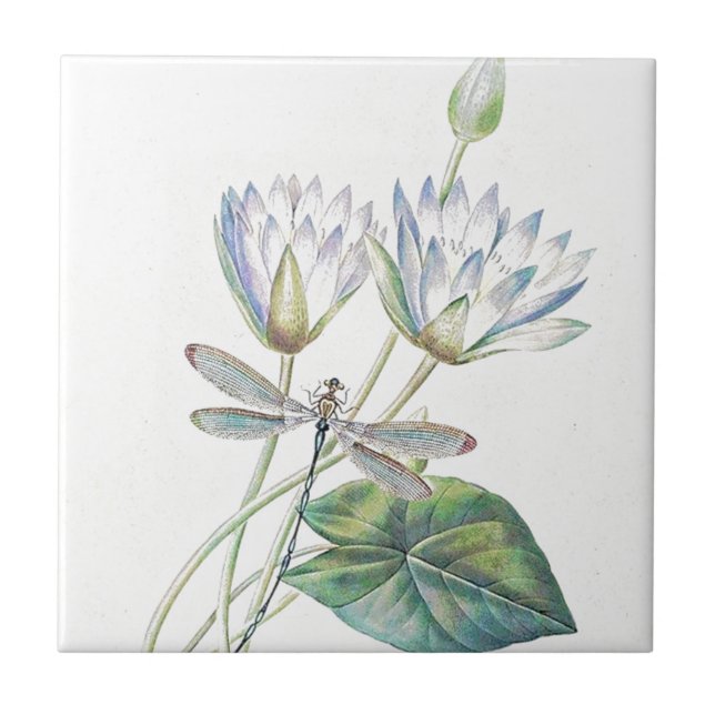 Lotus and dragonfly tile (Front)