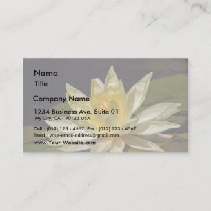 Lotus At The Reflecting Pond In Balboa Park Business Card