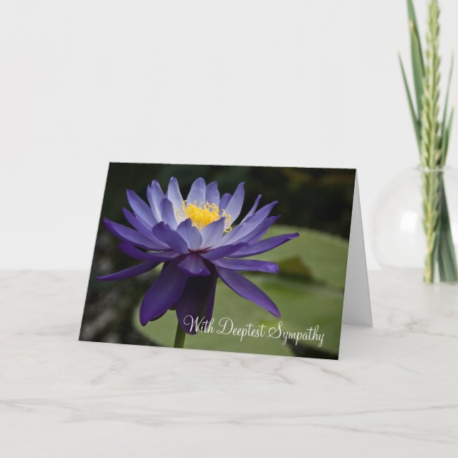 Lotus bleu • Carte de sympathie (Devant)