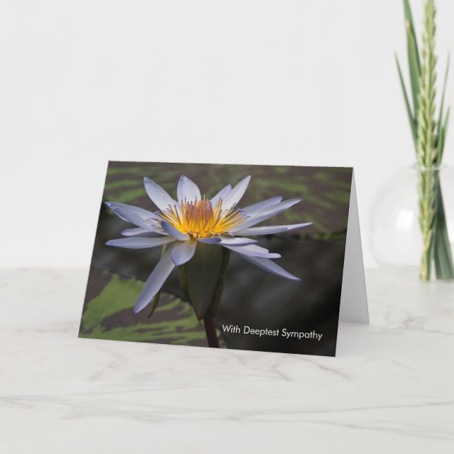 Lotus Bleu ・ Carte de Sympathie (Devant)
