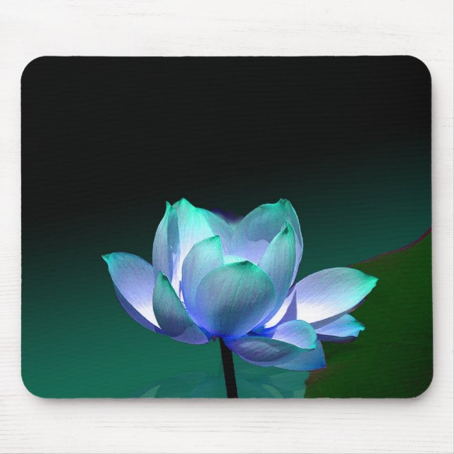 Lotus bleu en pleine floraison, tapis de souris (Devant)