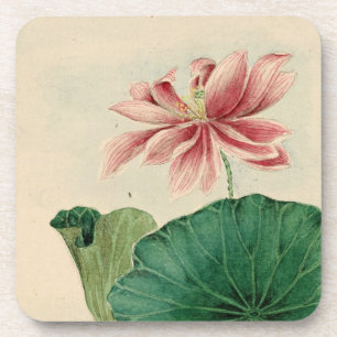 Lotus blossom Cork Coaster