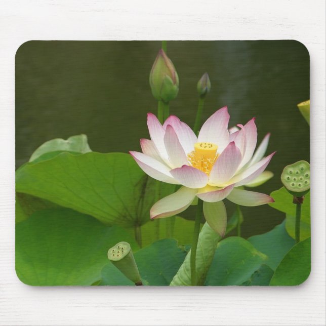 Lotus Blossom Mouse Pad (Front)