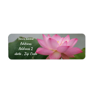 Lotus Blossom Rose