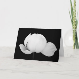 Lotus Bud Card