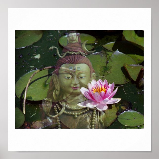 Lotus  & Buddha Poster (Front)