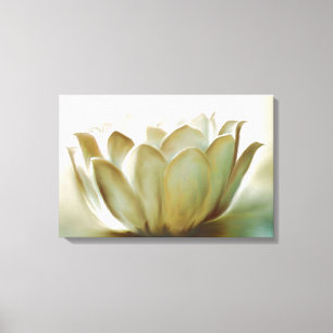 Lotus Canvas Print