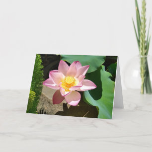 Lotus Card