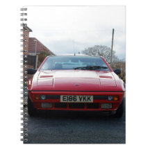 Lotus Eclat Front View