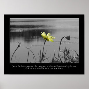 Lotus et affiche de motivation de libellules
