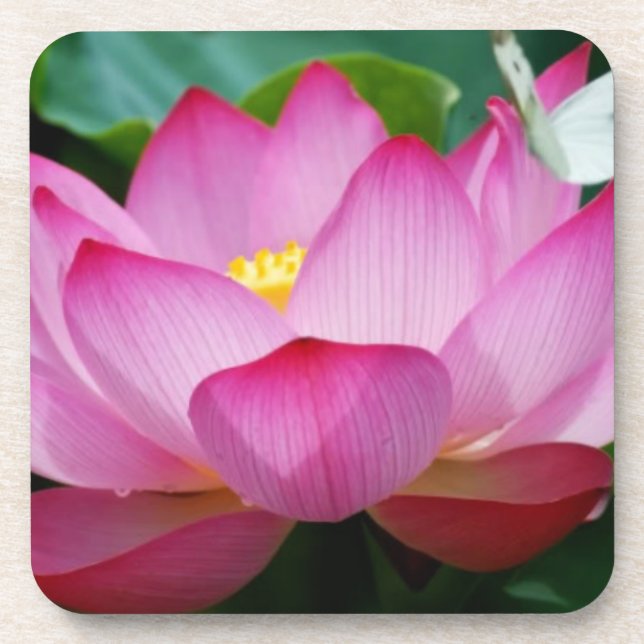 Lotus fleur & papillon dessous de verre en plastiq (Devant)