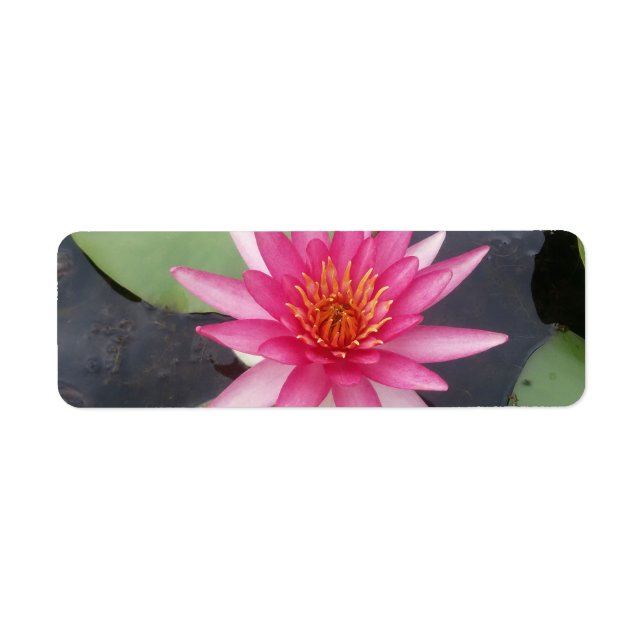 Lotus Flower (Front)