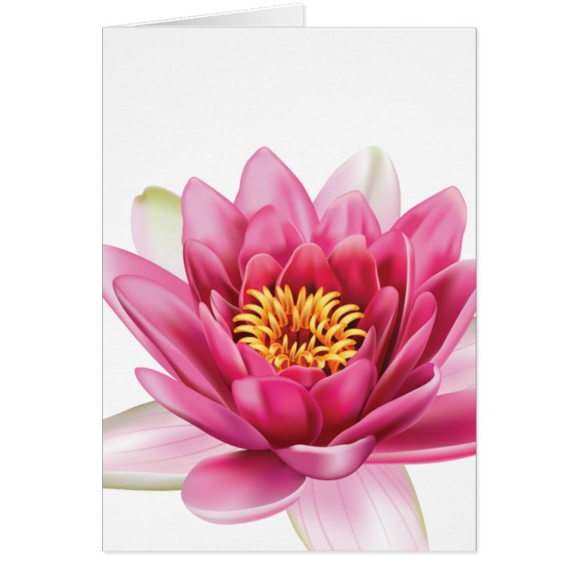 Lotus Flower (Front)