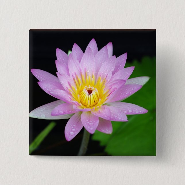 Lotus Flower 2 Inch Square Button (Front)