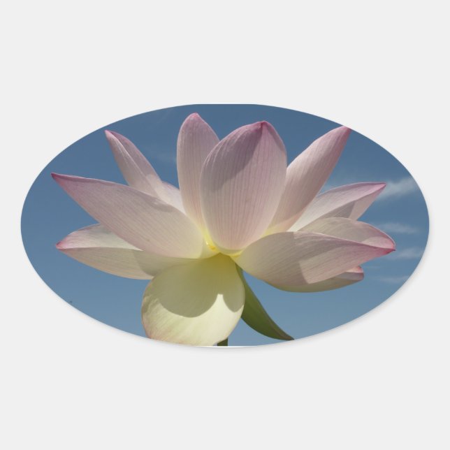 Lotus Flower and Blue Sky II Oval Sticker (Front)