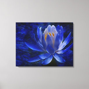 Lotus flower and its meaning canvas print