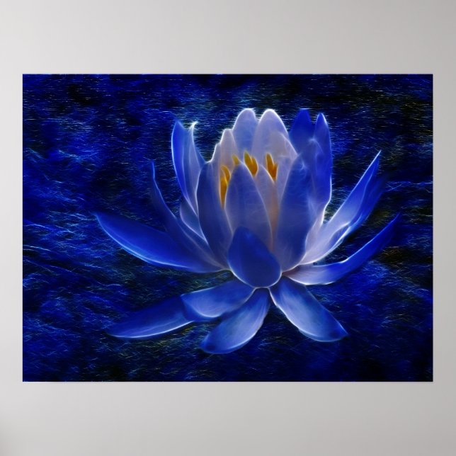 Lotus flower and its meaning poster (Front)