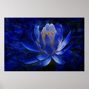 Lotus flower and its meaning poster