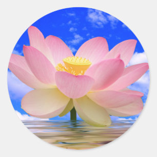 Lotus Flower Born in Water Classic Round Sticker