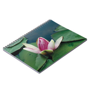 Lotus Flower Bouddha Carnet photo (80 Pages B&W)