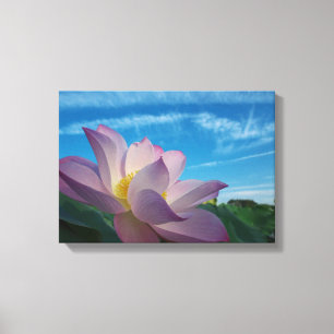 Lotus Flower Canvas Print